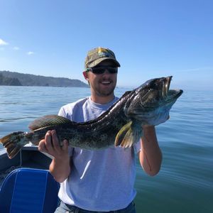 Meet your Posher, Shane